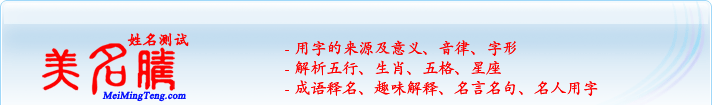 用字的來源及意義、音律、字形；五行、生肖、五格、星座；成語釋名、趣味解釋、名言名句、名人用字