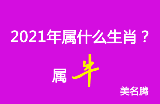 2021年屬什么生肖？2021年屬牛